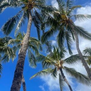 Happy Spring Time!!!